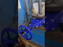 DIN3352-F4 Valvole di porta a sedile morbido resistenti